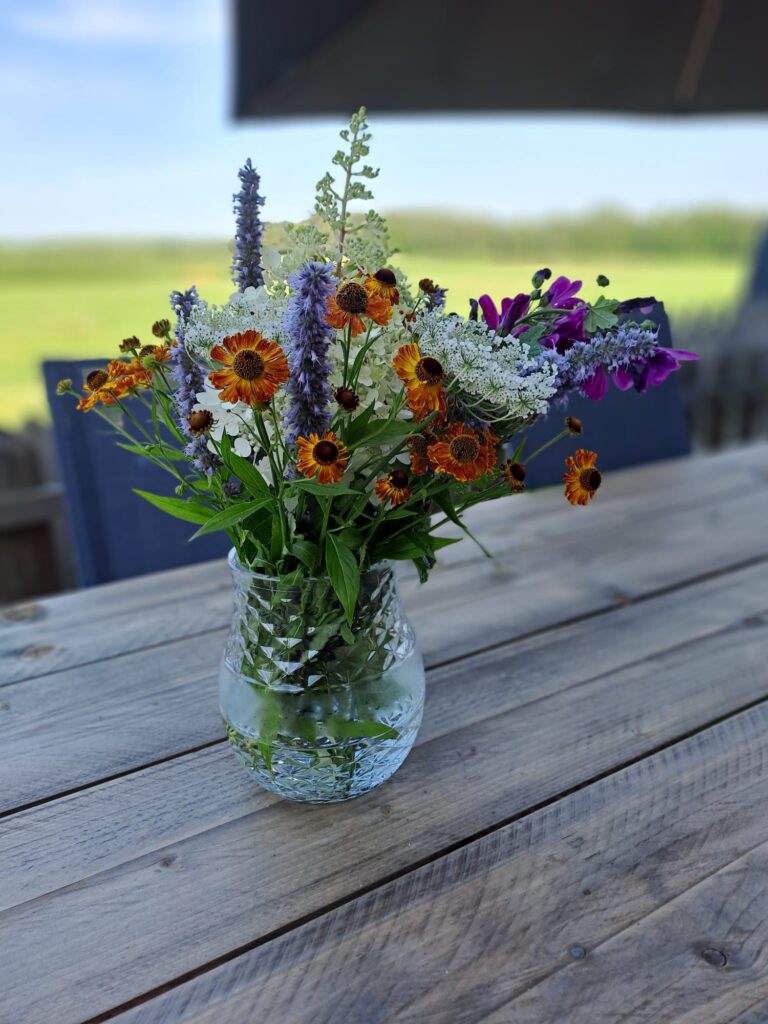 Heiden Kinderbetreuung Ruhrgebiet Langsamkeit